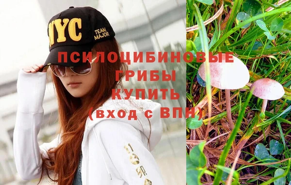 экстази Баксан