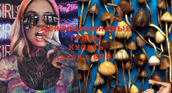 экстази Баксан